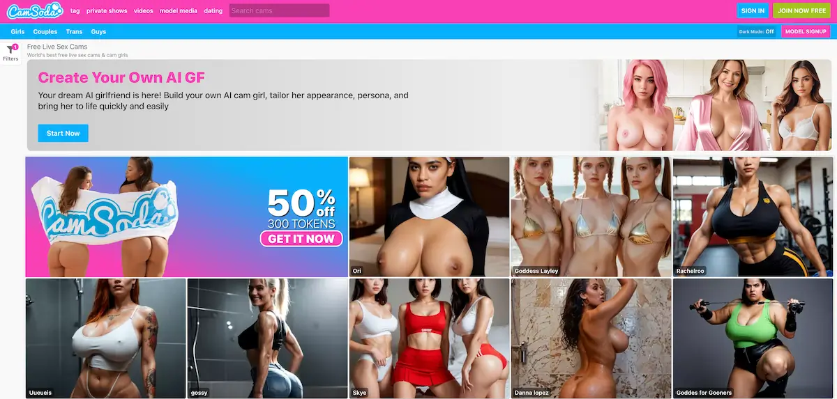 AI Girlfriend Examples ON Camsoda